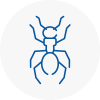 Ant Removals In South Shields