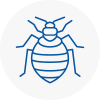 Bed Bug Extermination In South Shields