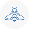 Bee Nest Removal South Shields