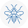 South Shields Hornet Nest Removals