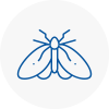 Moth Control Specialists In South Shields