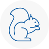 South Shields Rodent Removals
